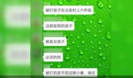 河北学校爆料事件视频播放,真相究竟如何？