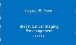 breats在线观看,Breats在线观看之旅